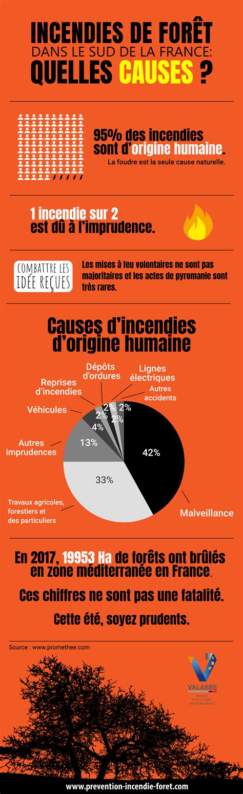 Infographie Causes des incendies de forêt en région méditerranéenne