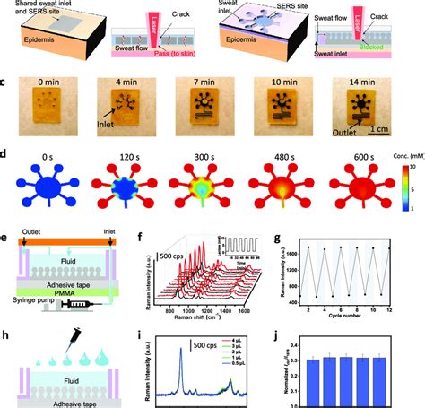 Dynamic Sweat Sampling And Analysis Performances Of The Microfluidic