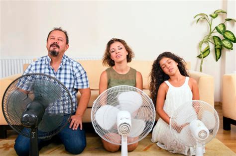 Los Mejores Ventiladores Seg N Profeco Para Sobrevivir Al Intenso Calor