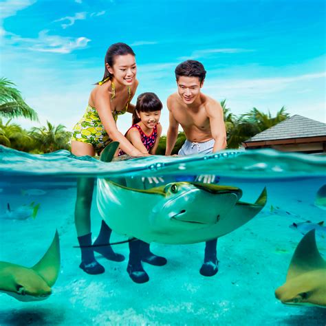 Don't miss these exciting rides at Adventure Cove Waterpark