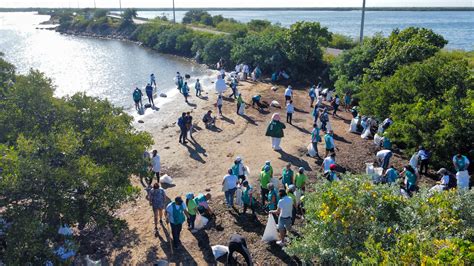 Recolectan 79 Toneladas De Basura En Playas Y Manglares Noticias De