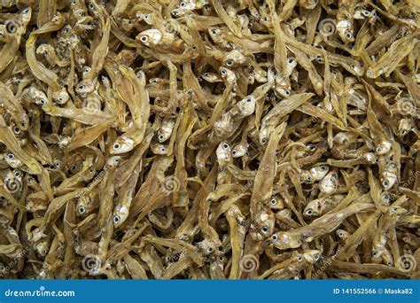 Pescados Secados Al Sol Salados En El Mercado Foto De Archivo Imagen