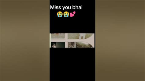 Miss You Bhai 😭😭 Youtube