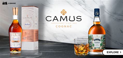 Camus | LIQ9.asia B2B