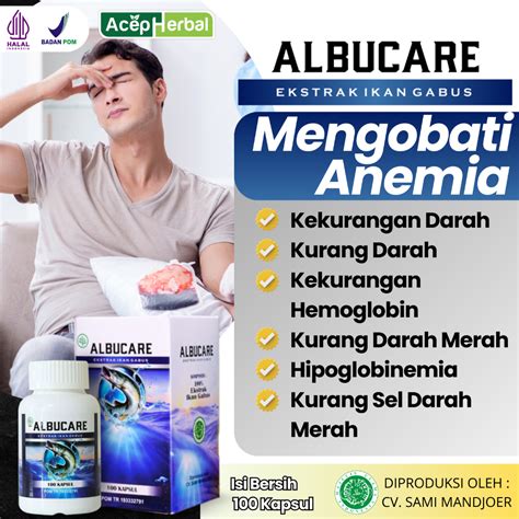 Jual Obat Anemia Obat Kekurangan Darah Kekurangan Hemogblobin Dan