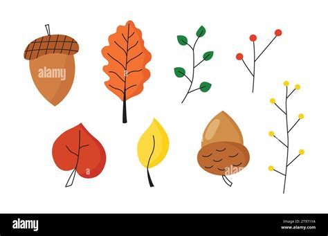 Fall Season Acorn And Leaves Set Autumn Berries Illustration Cozy