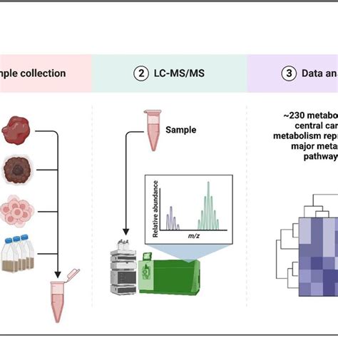 A Detailed Overview Of Metabolite Profiling Pipeline For Detection Of