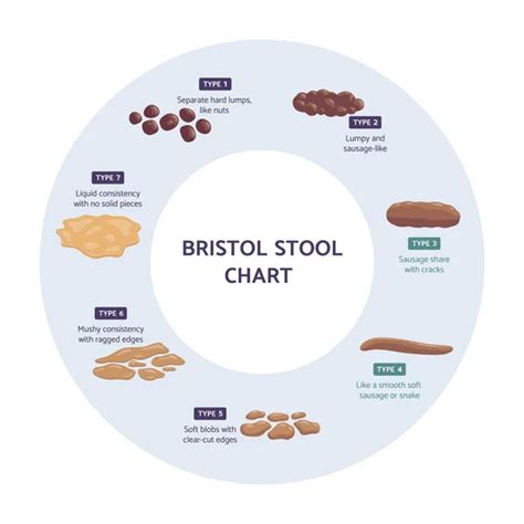 Stool Chart Vector Art Stock Images Depositphotos