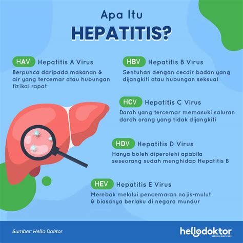 Apa Itu Hepatitis B Benarkah Ia Paling Berbahaya Di Antara Jenisnya