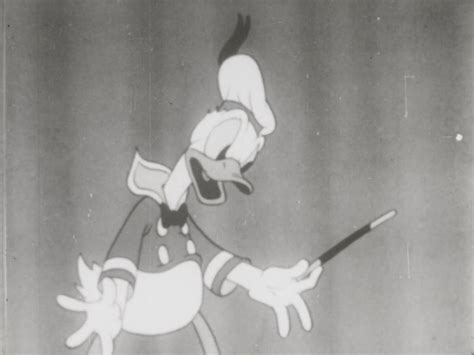 Original Donald Duck Black And White