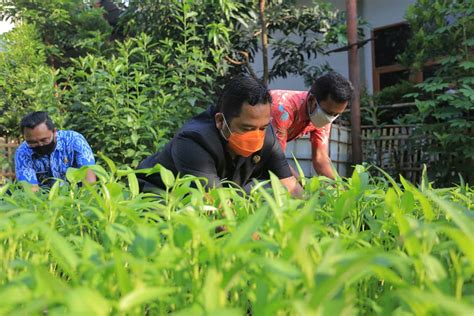 Pandemi Covid 19 Pemkot Tangerang Anjurkan Warga Konsumsi Pangan Lokal