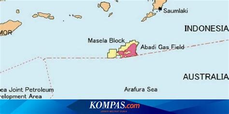 Menteri ESDM Sebut Pertamina Hingga Petronas Bakal Investasi Di Proyek