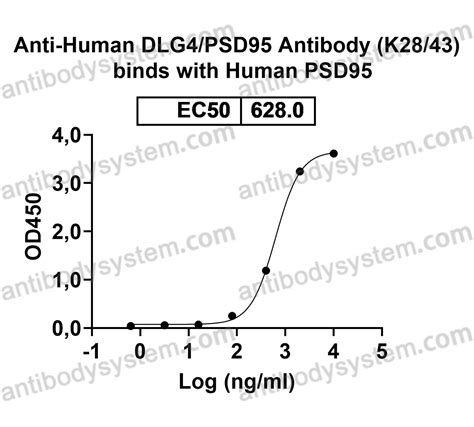 Buy Anti Human Dlg Psd Antibody K