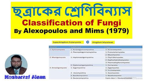 Classification Of Fungi By