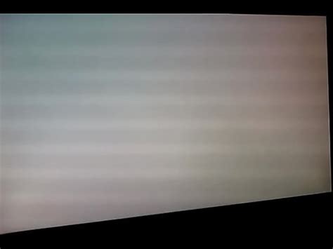 Aidan Nycole Hot Instagram Model Huge Boobs And Ass XVIDEOS