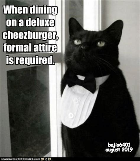 Lolcats - tuxedo - LOL at Funny Cat Memes - Funny cat pictures with ...