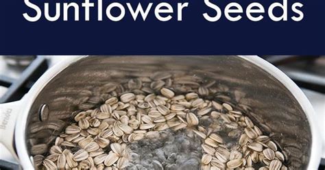 Growing Sunflowers Here S How To Harvest And Roast The Sunflower Seeds