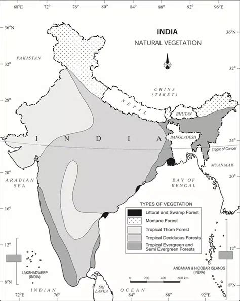 Types Of Forests In India Natural Vegetation Of India Moist Tropical