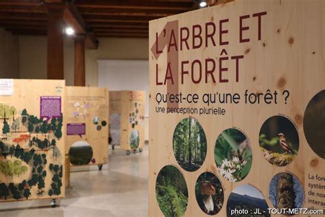 Deux expositions sur la biodiversité aux Récollets à Metz