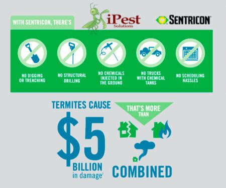 Free Inspections For Termite Control In Waco Texas Waco Pest Control