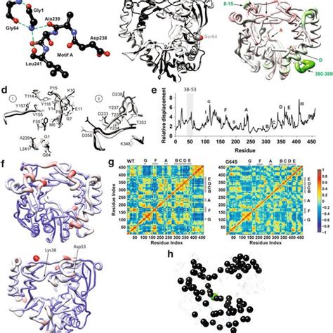 4 Quasispecies nature of RNA viruses and effect of RdRp fidelity on ...