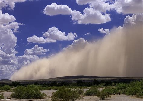 Mientras La Ni A Se Debilita El Calor Aumenta En M Xico