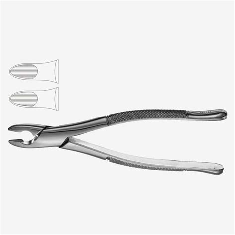 Kells American Pattern Tooth Extraction Forceps Fig 99C Xelpov Surgical