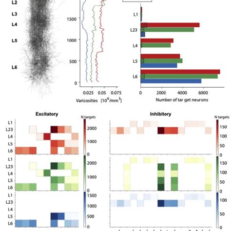 In Silico Predictions Of Chat 5 Ht And Th All Data Is Representative