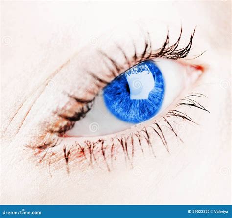 Menselijk blauw oog. stock foto. Image of kijk, jeuk - 29022220