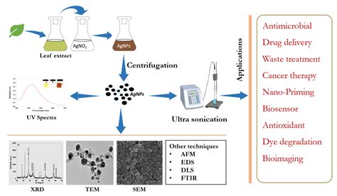 Surfaces Free Full Text Biogenic Synthesis Of Silver Nanoparticles Characterization And