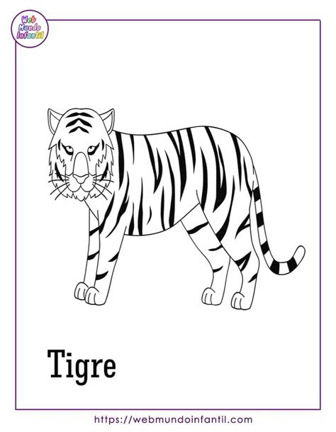 Dibujos De Animales Carnívoros Para Colorear 34 Fichas