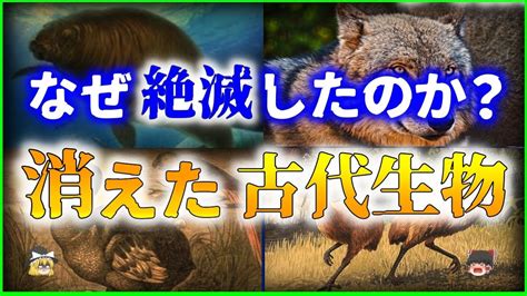 【ゆっくり解説】9割が絶滅！なぜ絶滅したのか！？「古代生物」6選を解説 Youtube