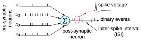 Integration Of Spike Trains At The Post Synaptic Neuron From Four