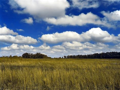 Convective Clouds – WeatherTogether