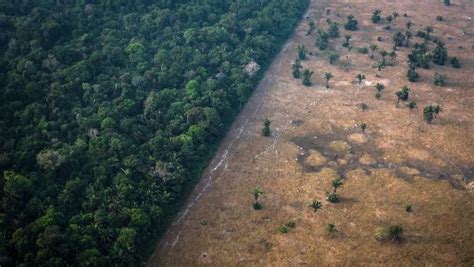 World Leaders Pledge To End Deforestation By 2030 Space