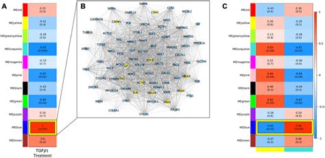 Results Of Integrative Omics Analysis Of Proteomic And Transcriptomic