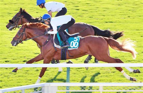 【札幌2歳s】武豊騎手、ガイアメンテにぞっこん「スピードに乗っている時の走りは古馬みたい。乗っていて気持ちがいい」 Umatoku 馬トク