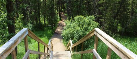 Explore Fish Creek Park Hiking Trails Near Wolf Willow Wolf Willow