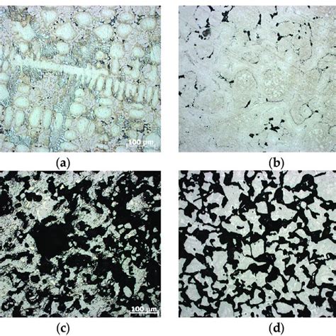 Sintered At 1300 °c A Microstructure Of Nickel Based Self Fluxing