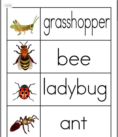 Insects Theme Preschool Bugs Preschool Preschool Kindergarten Free