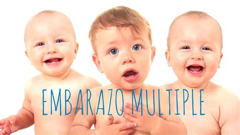 Embarazos Múltiples Y Reducción Embrionaria Surrogacy 365