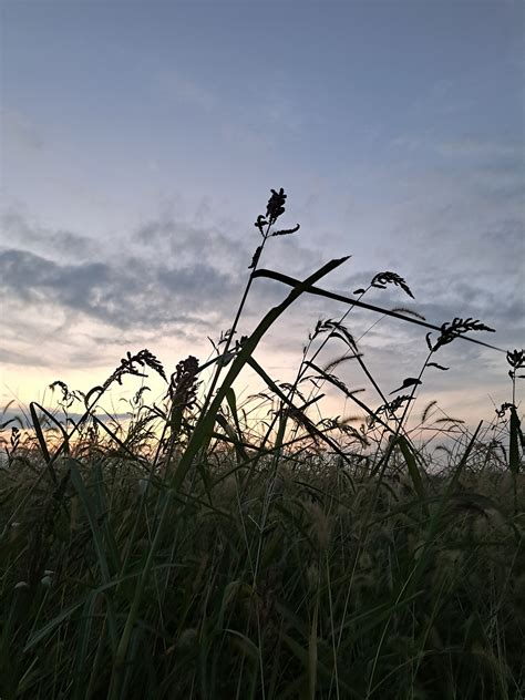 Sunset Langit Alam Foto Gratis Di Pixabay Pixabay