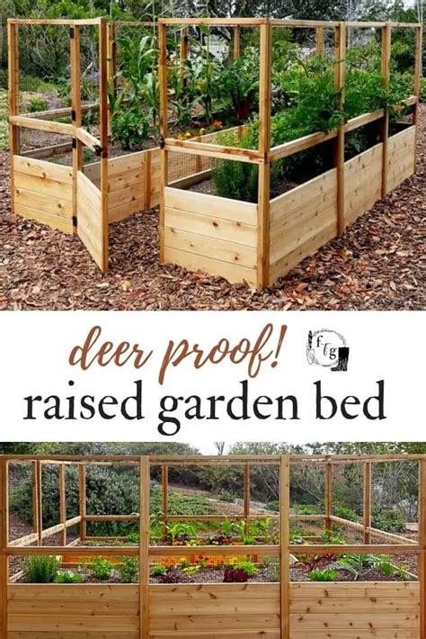 Raised Vegetable Garden Ideas | Family Food Garden | Vegetable garden design, Raised vegetable ...