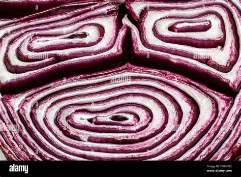 The Inside Of Sliced Red Cabbage Stock Photo Alamy