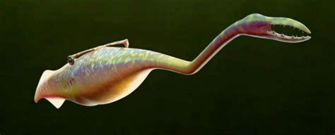 Year Old Mystery Over Bizarre Tully Monster May Finally Have Been