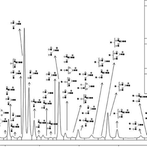 Representation Of Released Undigested Human Igg N Glycosylation Profile