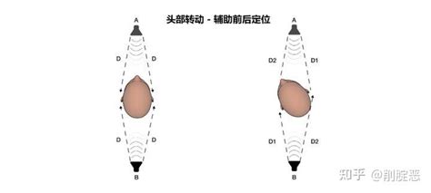 空间音频科普篇【持续更新】 知乎