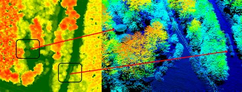 Lidar Derived Canopy Height Model Practical Tips In Implementing Use Interpine Innovation