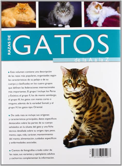 Qué características tienen los gatos de cada raza Alimentos101