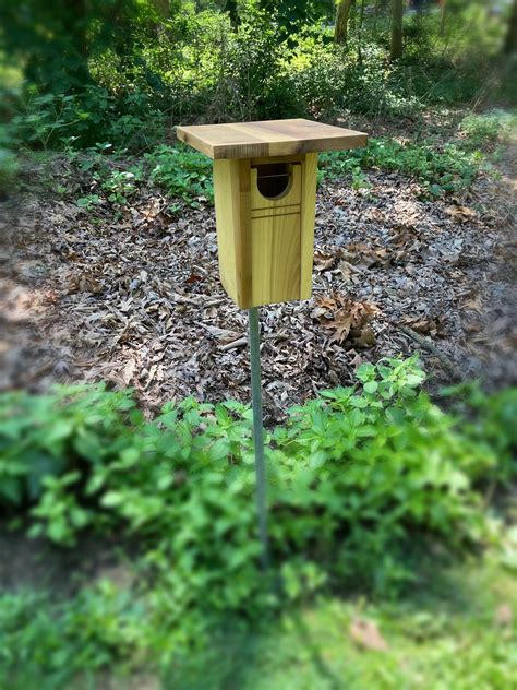 Gilwood Ii Bluebird Nesting Birdhouse Etsy